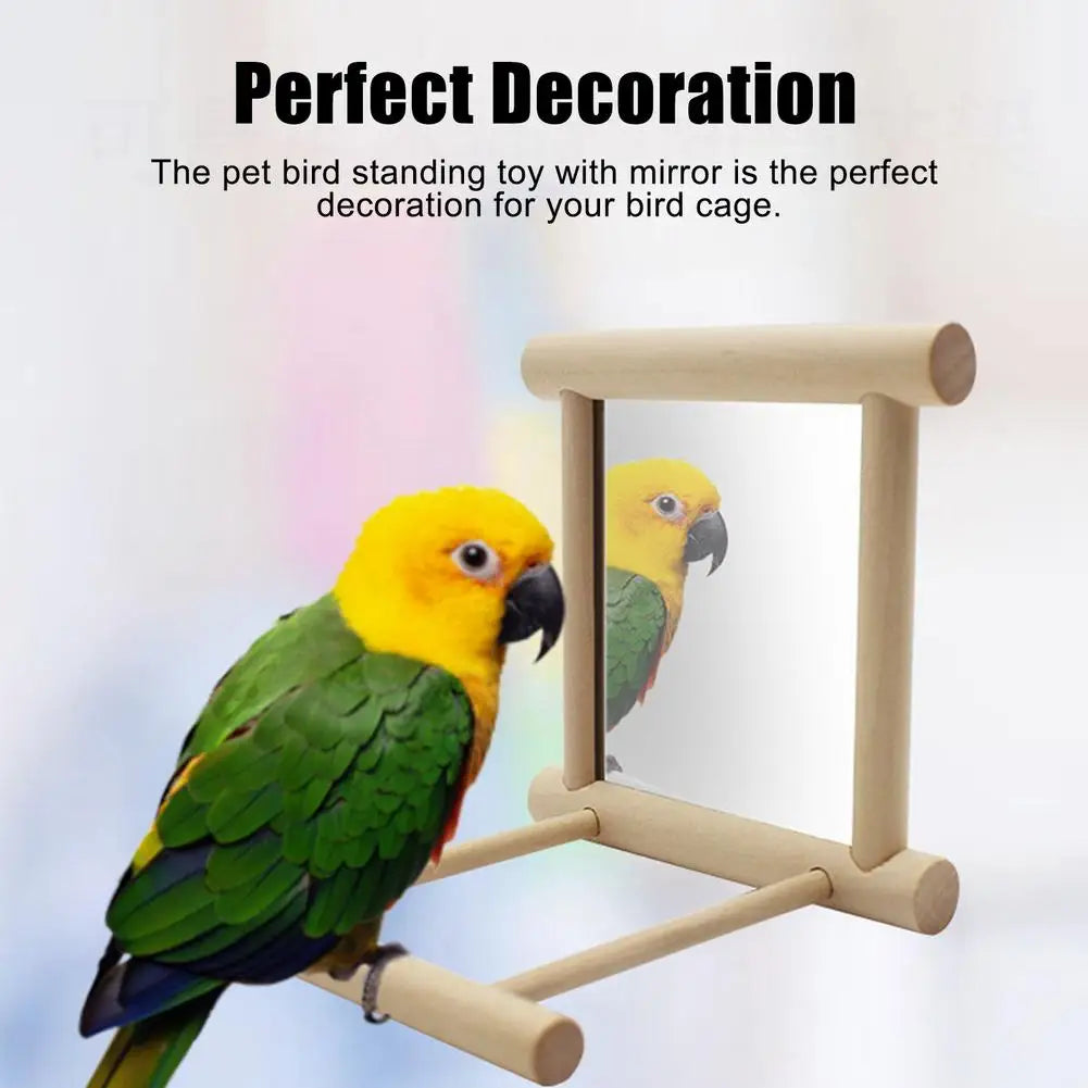 Bird Mirror With Perch Mirror Toy Stand Parrot Parakeets