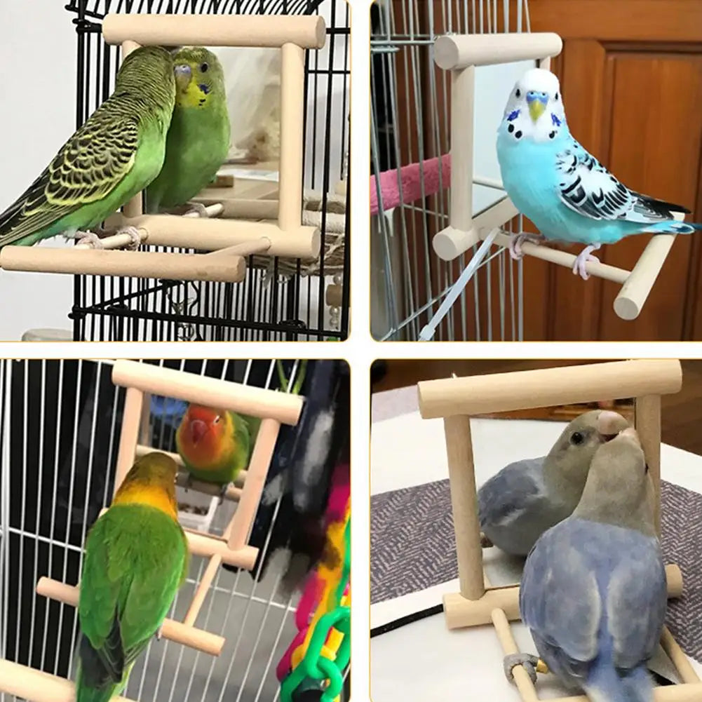 Bird Mirror With Perch Mirror Toy Stand Parrot Parakeets