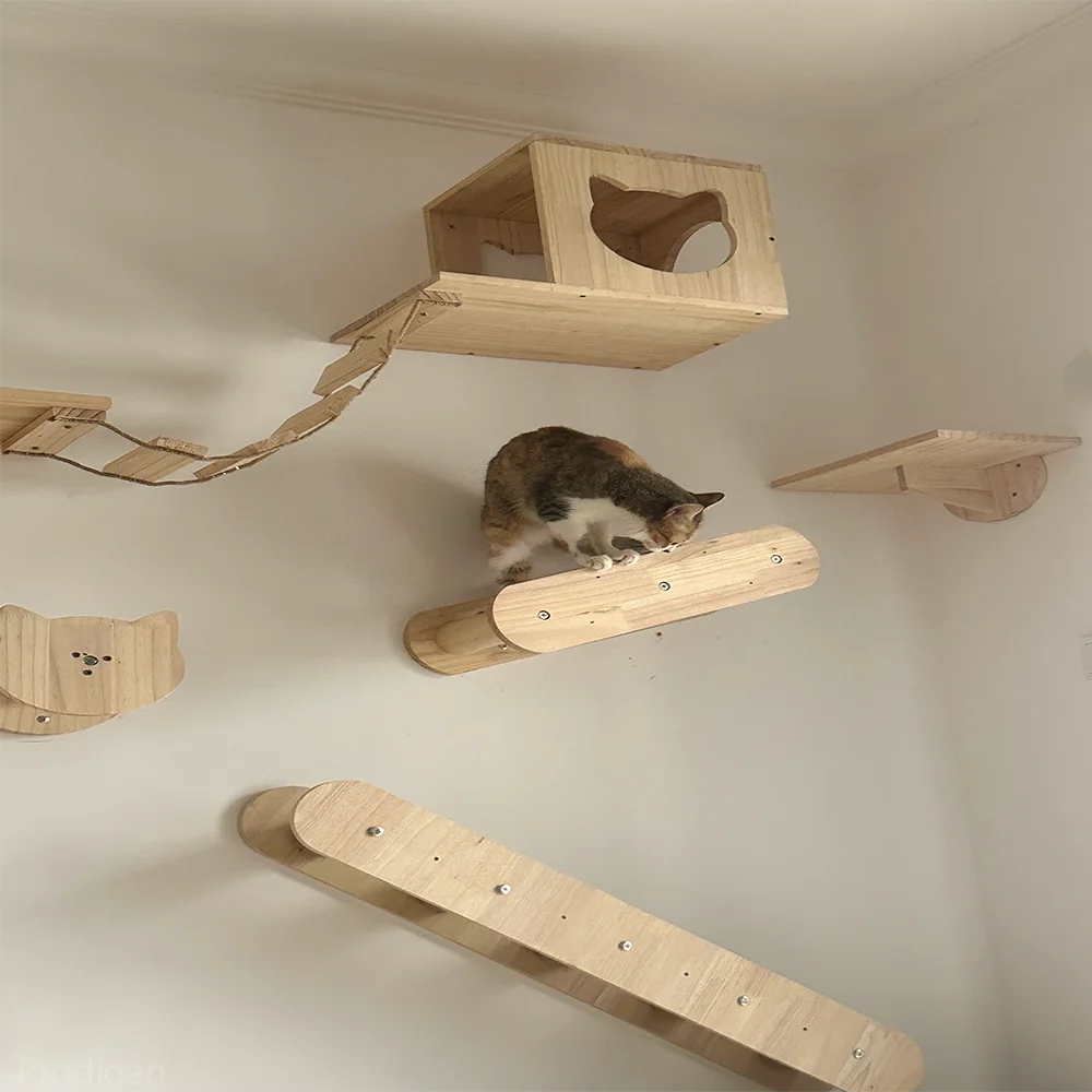 Wall Mounted Scratcher Climbing Tree Hammock Beds