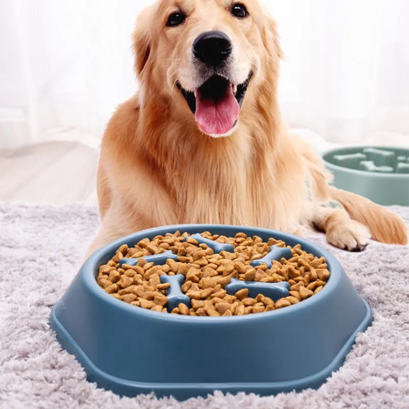 Dog Slow Food Plastic Bowl Anti-choking Feeder