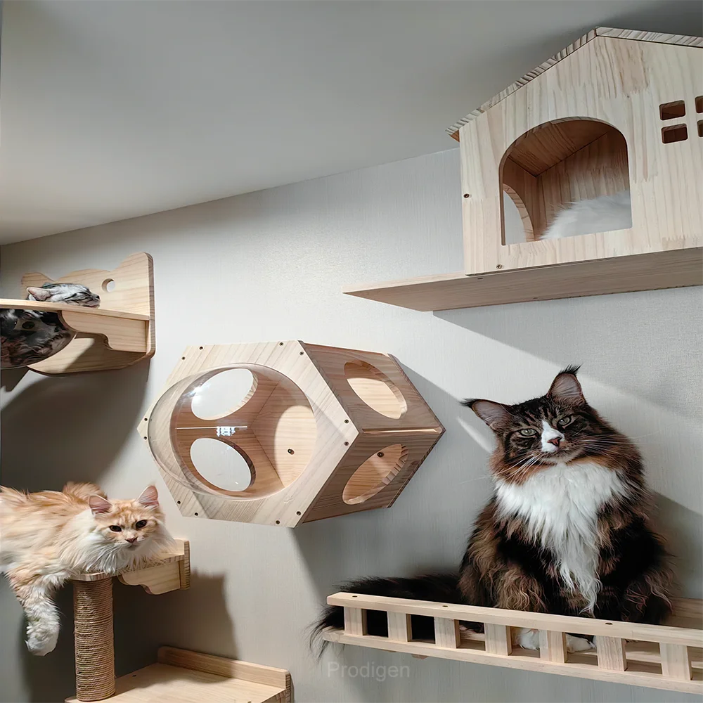 Wall Mounted Scratcher Beds and Furniture and Tower