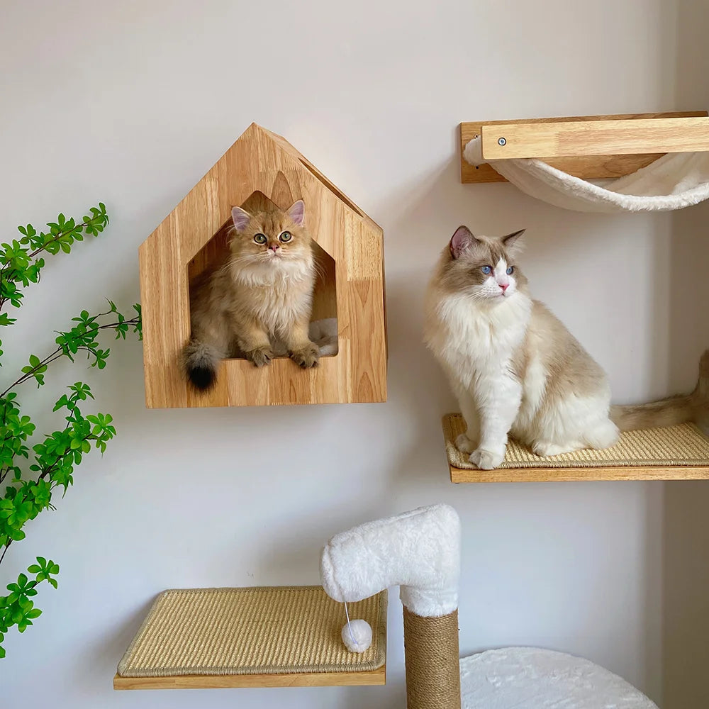 Wall Mounted Scratcher Climbing Tree Hammock Beds