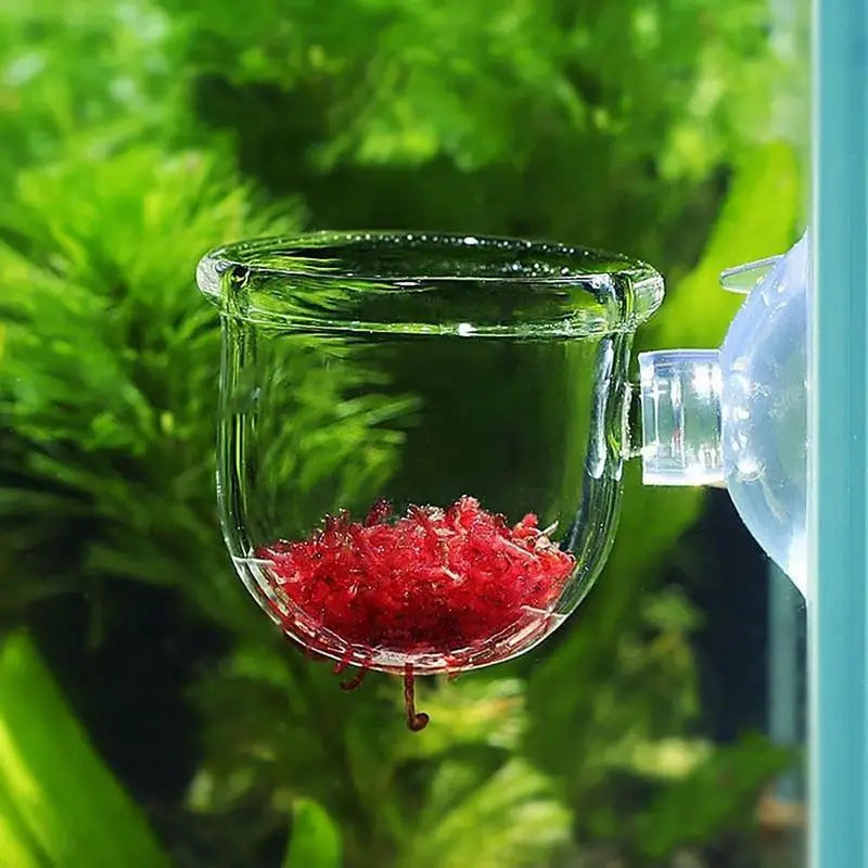 Aquarium Decoration Hanging Fish Tank Mini Crystal Acrylic Glass Pot