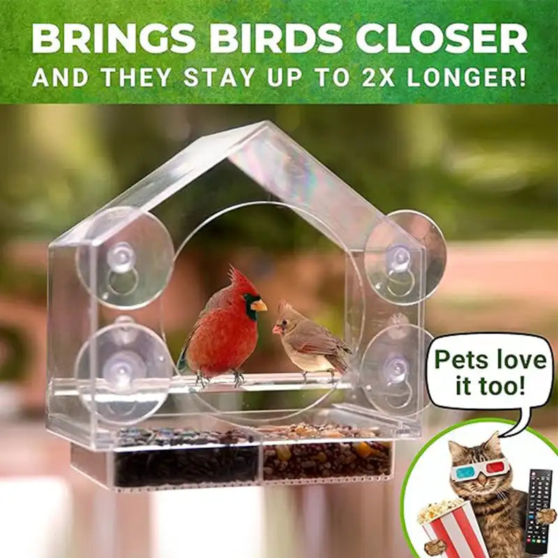 Acrylic Window Bird Watching Feeder with Strong Suction Grip