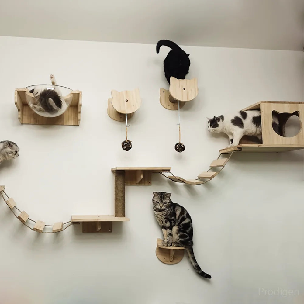 Wall Mounted Scratcher Climbing Tree Hammock Beds