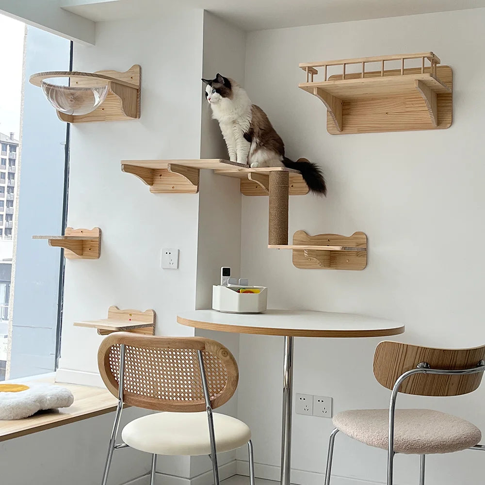 Wall Mounted Scratcher Beds and Furniture and Tower