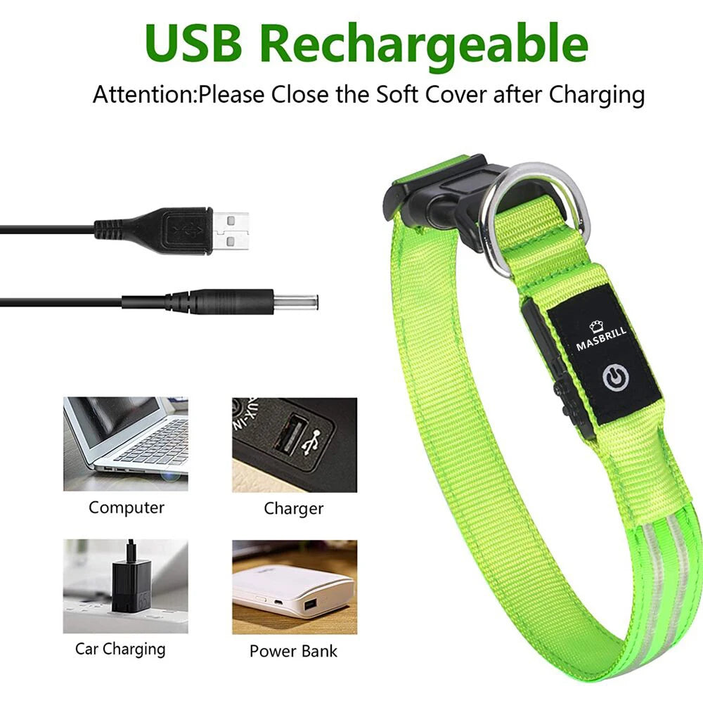 Rechargeable Dog Collar 100% Waterproof Glow Dark