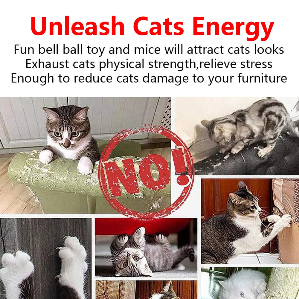 21pcs Kitten Toys Assortments for Indoor Cats Collapsible Cat Tunnel Interactive Feather Teaser Wand Ball Toy for Kitten Cats