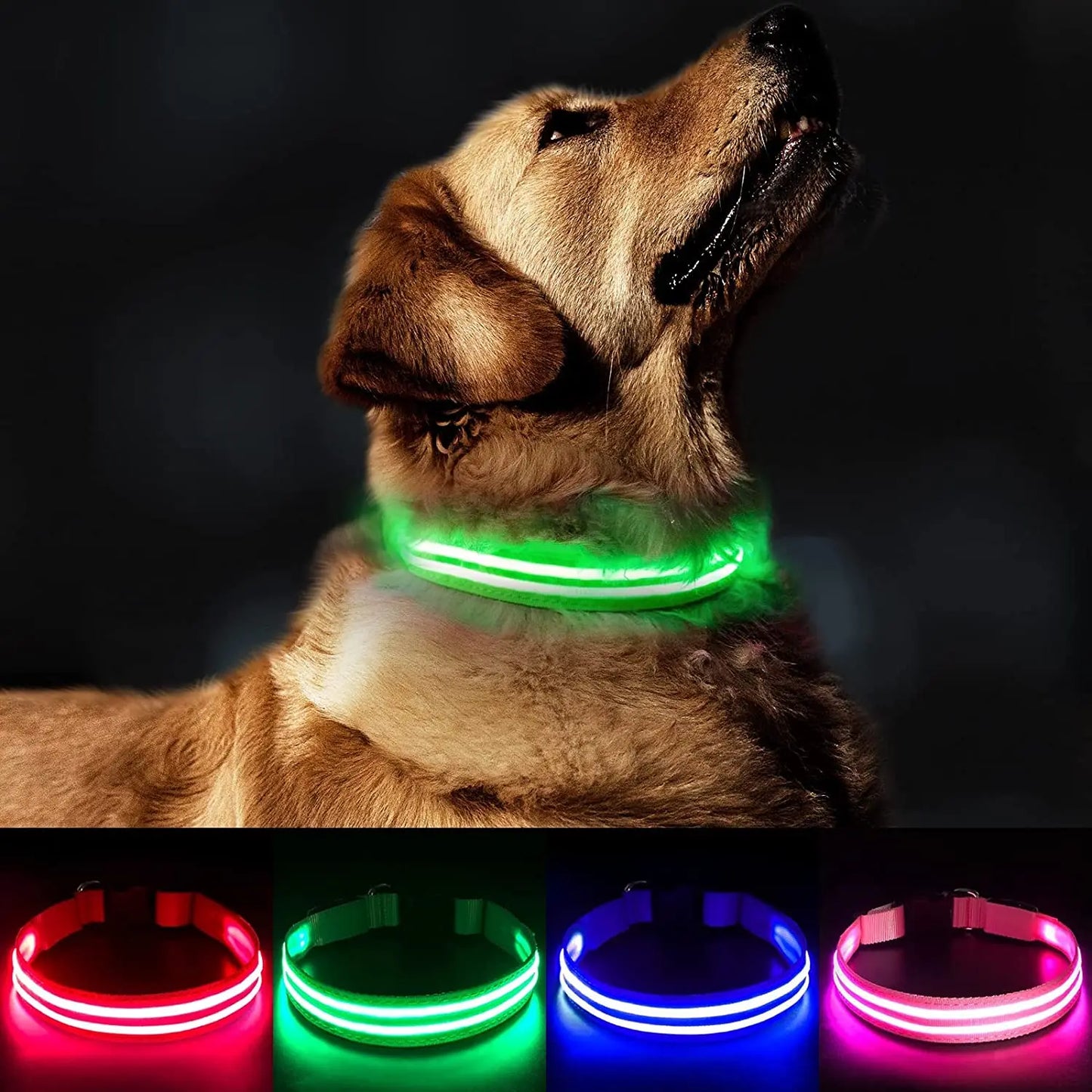 Rechargeable Dog Collar 100% Waterproof Glow Dark