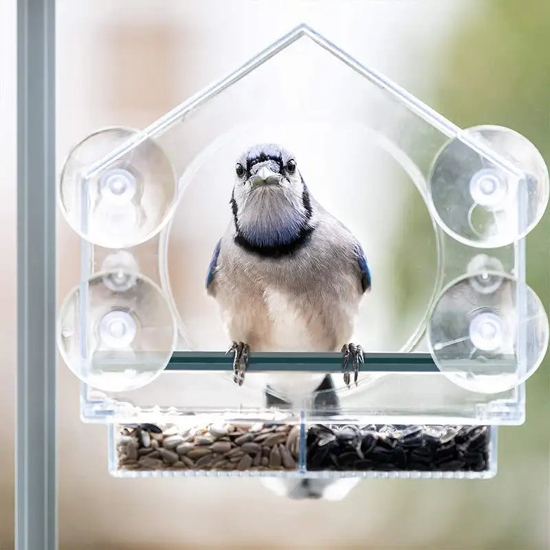 Acrylic Window Bird Watching Feeder with Strong Suction Grip