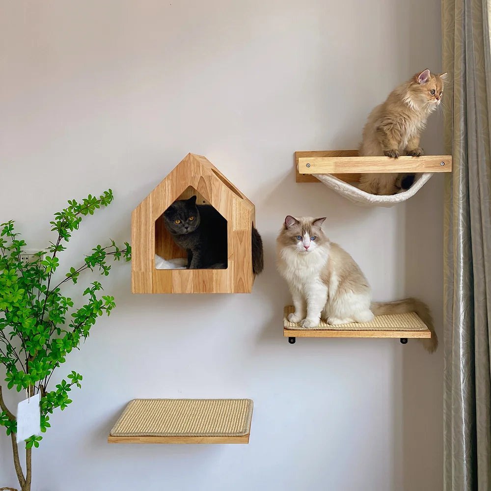 Wall Mounted Scratcher Climbing Tree Hammock Beds