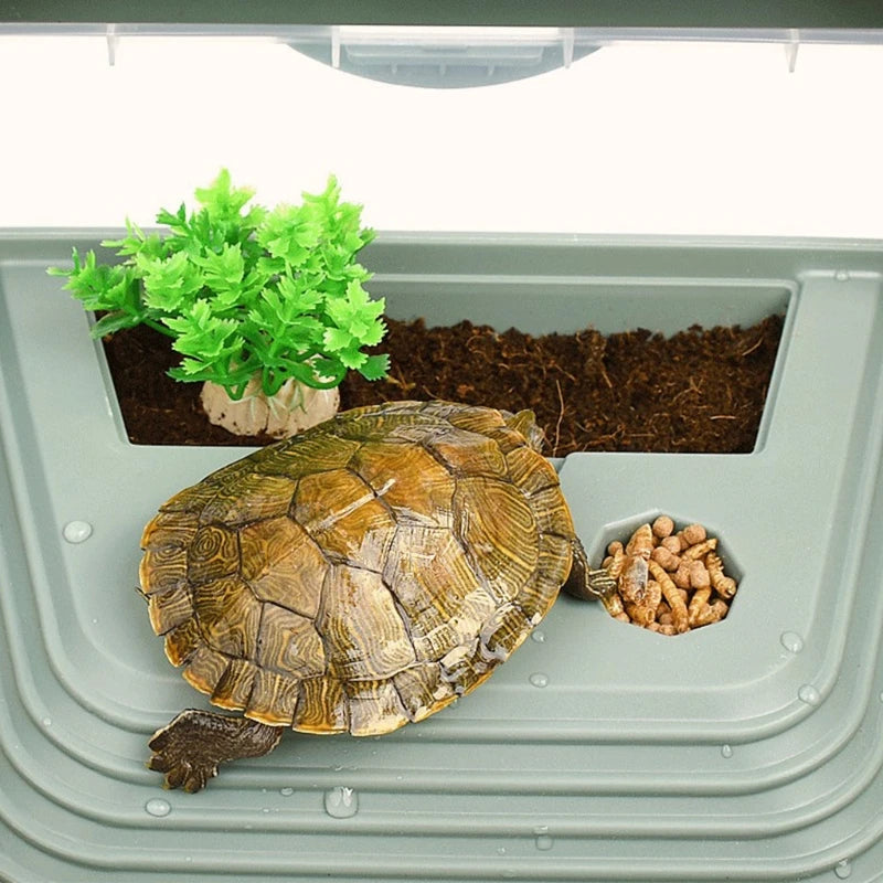 Habitat for Turtle for Tank Plastic Aquarium Amphibian