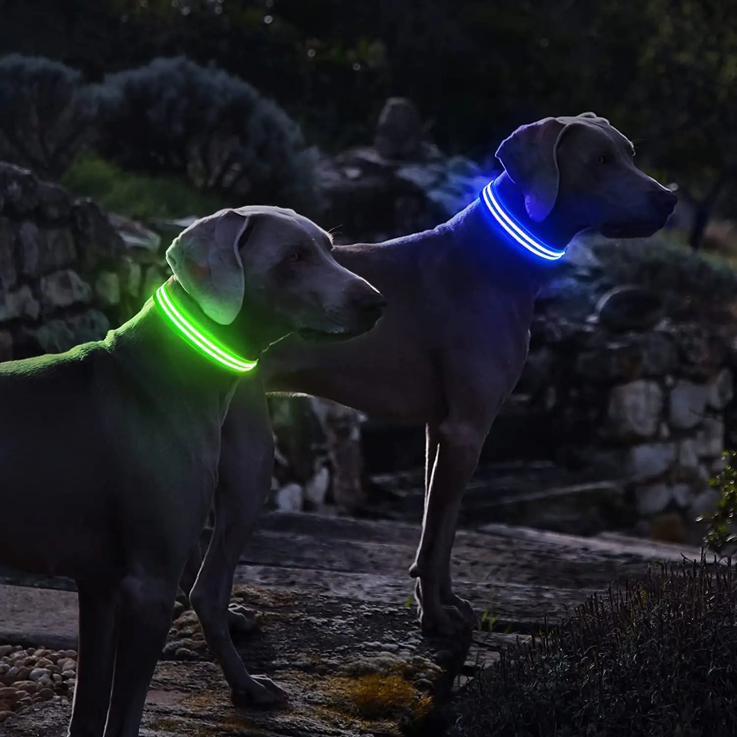 Rechargeable Dog Collar 100% Waterproof Glow Dark