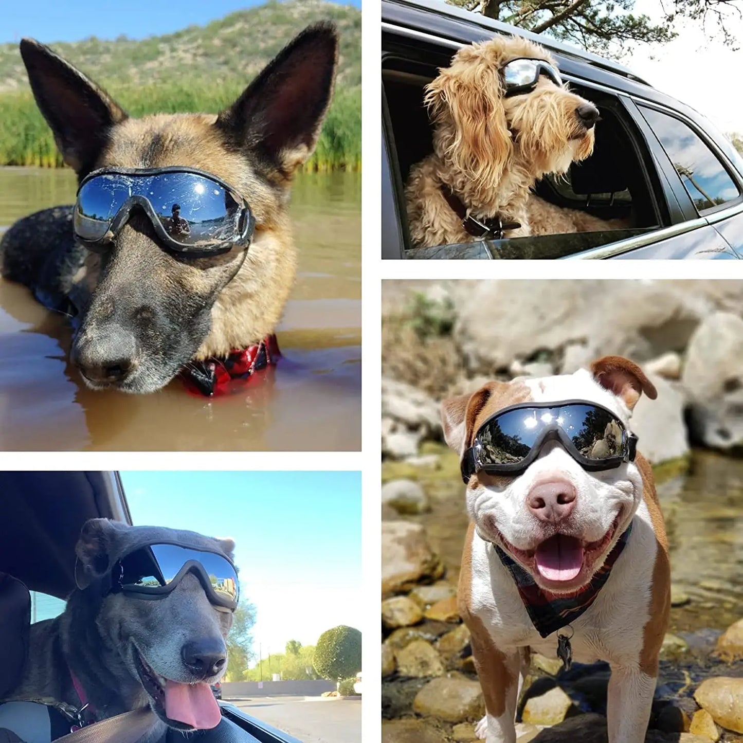 Dog Goggles Adjustable Strap for Travel  for Medium to Large Dog